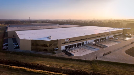 Director Global Warehousing